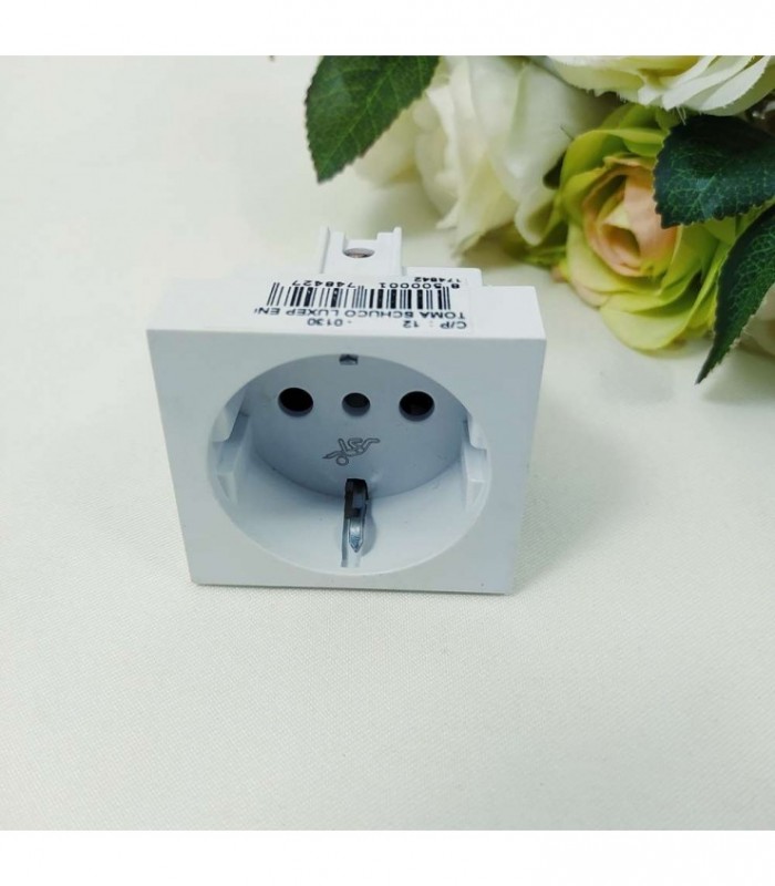 TOMA ENCHUFE P- AIRE LUXEP SCHUKO 174842