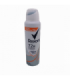 DESOD.REXONA FEME ANTIBACTERIAL 244177 41704
