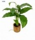 PLANTA ARTIFIC.C-PLANTERA 33X8CM 136835