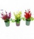PLANTA ARTIFIC.C-PLANTERA 18X5CM 3C 136871