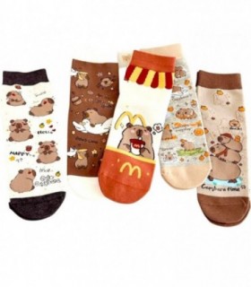 MEDIA INF.1PC CAPYBARA 5C 141598