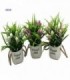 PLANTA  ARTIFICIAL C-PLANTERA 20X8CM 4C 142341