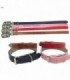 COLLAR P-PERRO 2.5X45CM COLOR.122983
