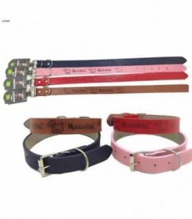 COLLAR P-PERRO 2.5X45CM COLOR.122983