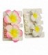 EVILLA 3PCS FLOR CART.143386
