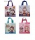 BOLSA DE REGALO IMPER.LABUBU 4C 144125