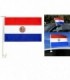 BANDERA PARAGUAY P-AUTO 30X45CM 144264
