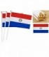 BANDERA PARAGUAY C-PALO 30X45CM 144261