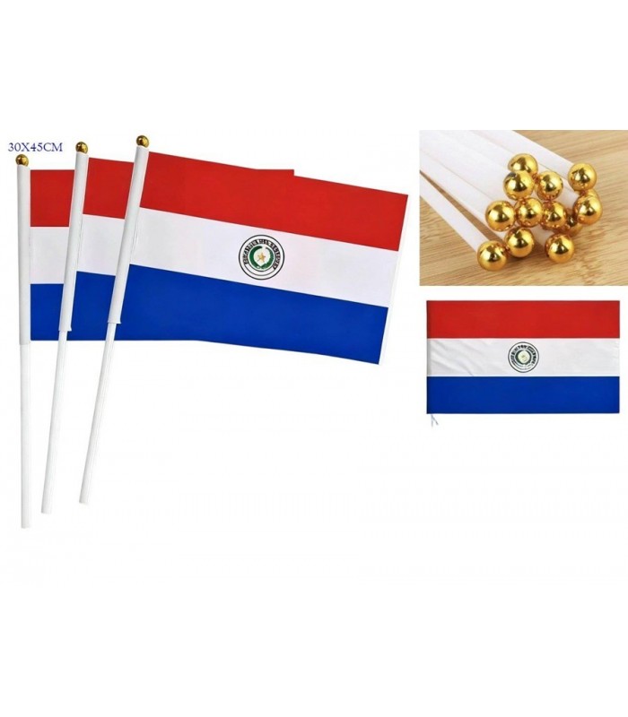 BANDERA PARAGUAY C-PALO 30X45CM 144261
