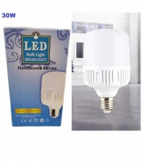 FOCO LED 30W BLANCO HANDSOME 126521