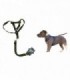 COLLAR P-PERRO C-PECHERA 2CMX1.2M 110472
