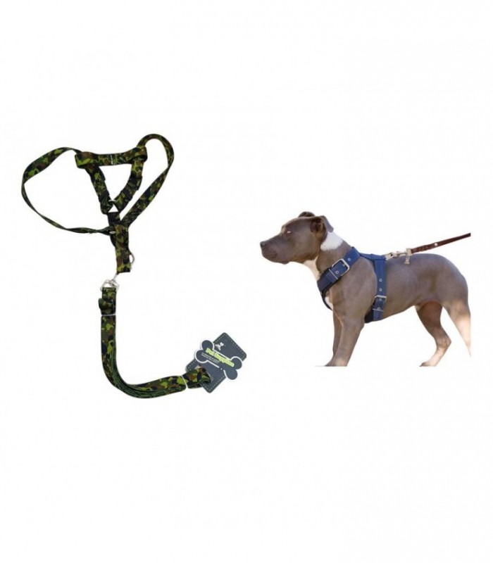 COLLAR P-PERRO C-PECHERA 2CMX1.2M 110472