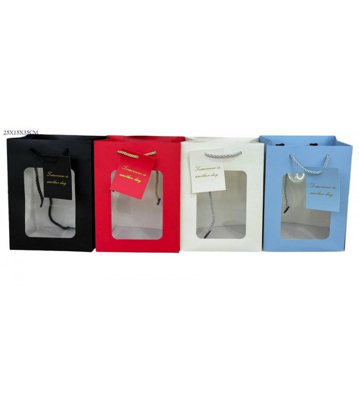 BOLSA DE REGALO 25X15X35CM TRANSP.99155L