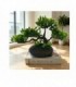 PLANTA ARTIFIC.ARBOL BONSAI 22X9CM 145434